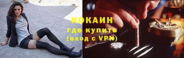 мдпв Верея