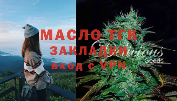 мдпв Верея