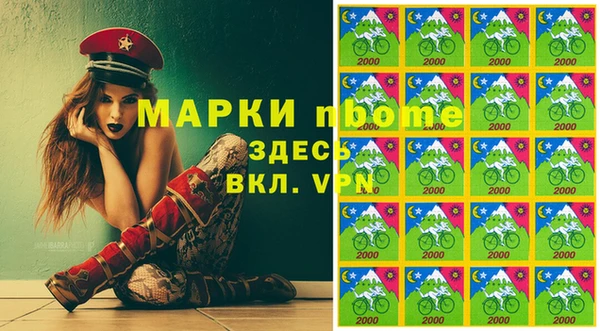 мдпв Верея