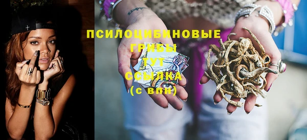 сатива Верхнеуральск