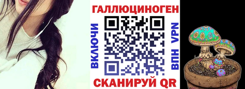 Псилоцибиновые грибы Cubensis  KRAKEN ТОР  Верхний Тагил  закладки 